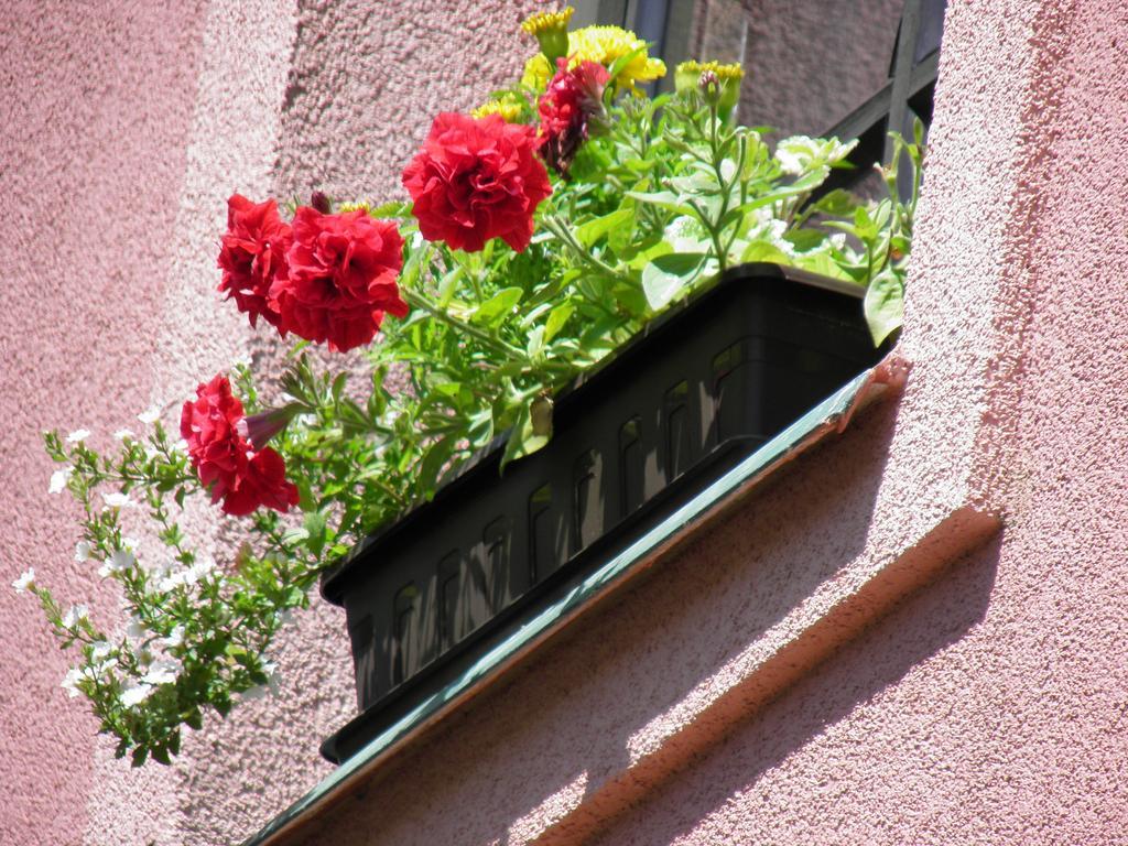 Pension Lípa Horní Maršov Exterior foto